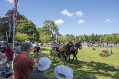 Paardendag-Uithuizen_6499