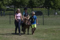 Paardendag-Uithuizen_6571