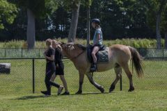 Paardendag-Uithuizen_6581