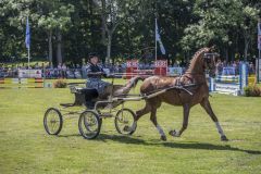 Paardendag-Uithuizen_6604_1