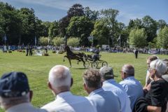 Paardendag-Uithuizen_6622