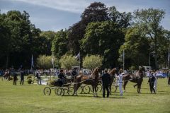 Paardendag-Uithuizen_6643