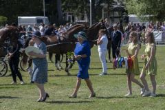 Paardendag-Uithuizen_6676