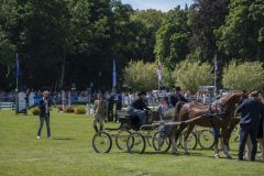 Paardendag-Uithuizen_6683