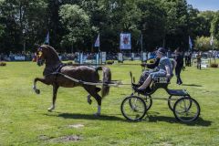 Paardendag-Uithuizen_6707