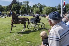 Paardendag-Uithuizen_6715