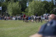 Paardendag-Uithuizen_6739