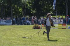Paardendag-Uithuizen_6874