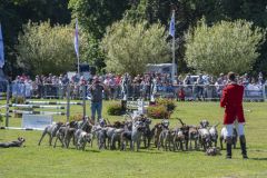 Paardendag-Uithuizen_6973