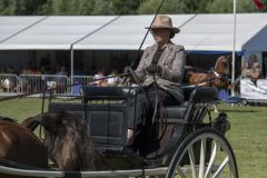 Paardendag-Uithuizen_7132