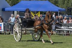 Paardendag-Uithuizen_7135