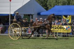 Paardendag-Uithuizen_7149