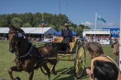 Paardendag-Uithuizen_7154