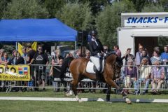 Paardendag-Uithuizen_7230