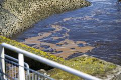 Lekkage-Palmolie-Afwateringskanaal-Farmsum_2312