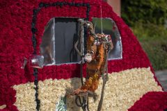 Papiercorso_9185
