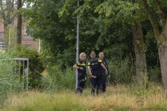 Koperdief-Pastorielaan-Appingedam_9149