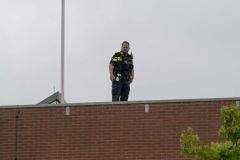 Koperdief-Pastorielaan-Appingedam_9221