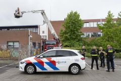 Koperdief-Pastorielaan-Appingedam_9318