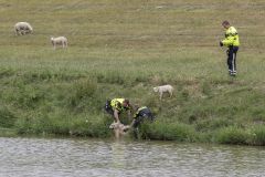 Schaap-te-water-Kustweg_1056-Verbeterd-SR