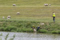 Schaap-te-water-Kustweg_1065