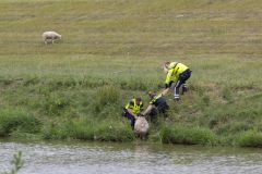 Schaap-te-water-Kustweg_1097-Verbeterd-SR