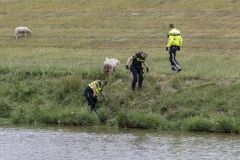 Schaap-te-water-Kustweg_1128-Verbeterd-SR