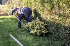 Struikroven-Middelstum_6322