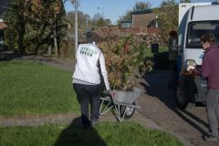 Struikroven-Middelstum_6411