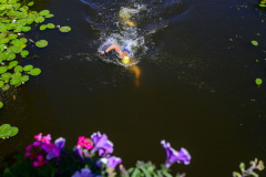 City-Swim-Appingedam_6857