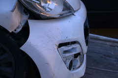 Aanrijding-met-ree-N360-Garrelsweer_3741