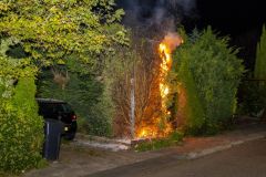 conifeerbranden_2255