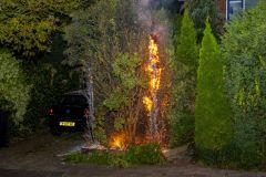 conifeerbranden_2257