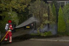 conifeerbranden_2272