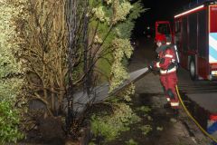 conifeerbranden_2315