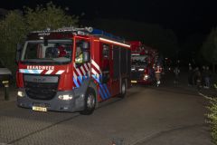 conifeerbranden_2317