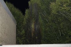 conifeerbranden_2366