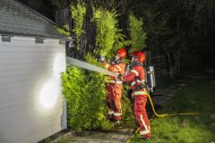 conifeerbranden_2509