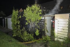 conifeerbranden_2516