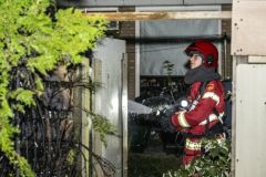 conifeerbranden_2522