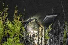 conifeerbranden_2525