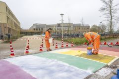 Regenboogpad-Campus-Eemsdelta_0775