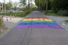 Regenboogzebrapad-Appingedam-vernield_3678