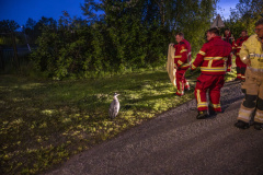 Reiger-vast-Uitwierderweg_3542