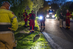 Reiger-vast-Uitwierderweg_3633