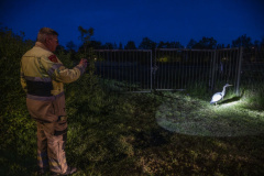 Reiger-vast-Uitwierderweg_3788