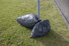 World-Cleanup-Day-51