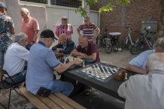 Dammen5