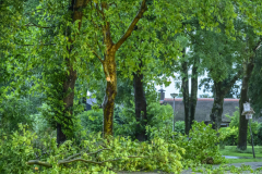 Stormschade-Appingedam-Delfzijl_0087