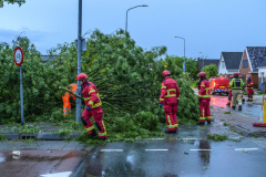 Stormschade-Appingedam-Delfzijl_0275